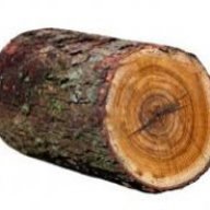 The log